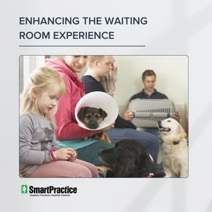 Enhancing the Waiting Room Experience