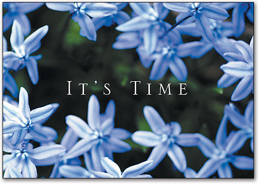 Series 11 Spring Postcard