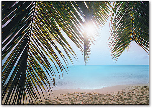 Series 90 Summer Postcard
