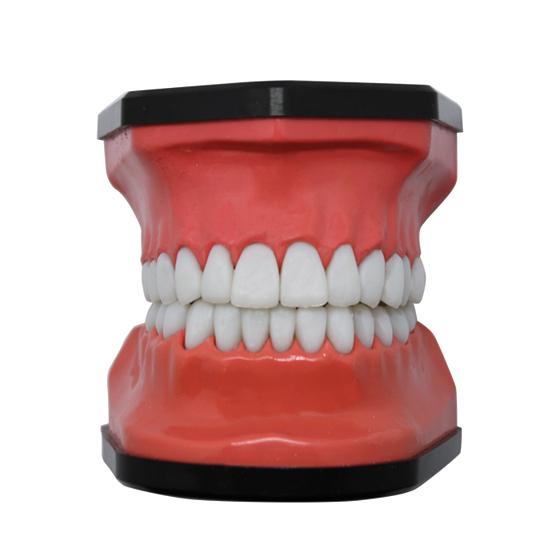 Teeth Mold