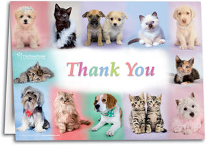 Pastel Pets Thank You Deluxe Folding Card