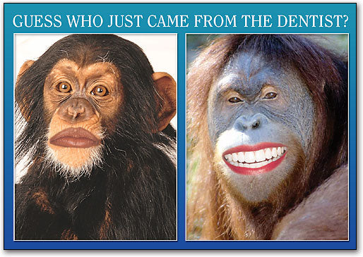 Guess Monkeys Postcard