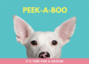 Peek-A-Boo Postcard