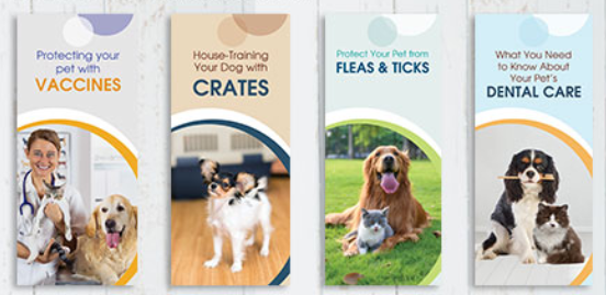 Veterinary Brochures