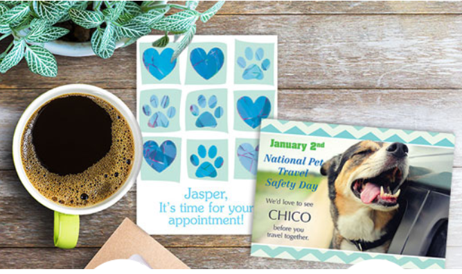 Veterinary Postcards