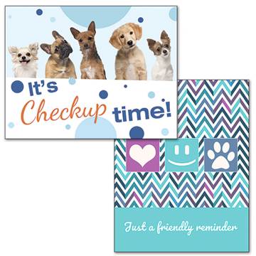 Veterinary Recall Cards