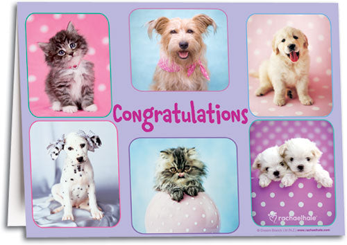 Veterinary Congratulations Cards