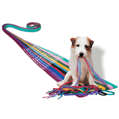 Pet Leashes