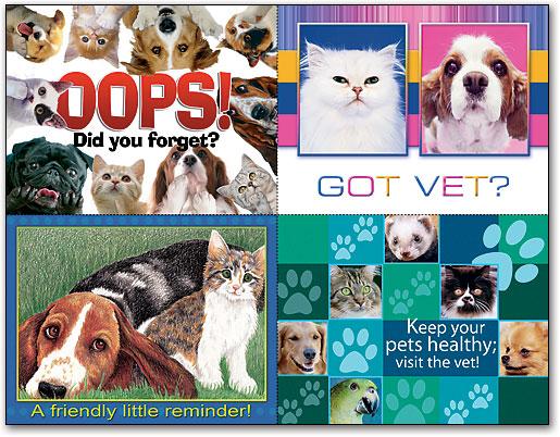 Veterinary Laser Cards