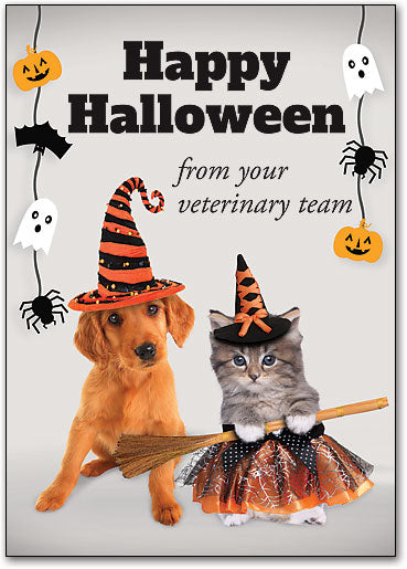 Vet Halloween Postcards