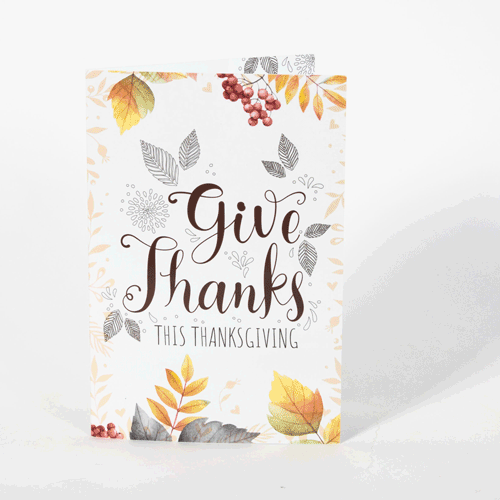 Veterinary Tear-Off Folding Cards