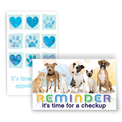 Veterinary Patient Communications