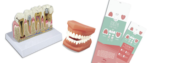 Dental Patient Education