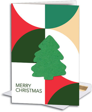 Colour Block Tree Seed Paper Premium Folding Card