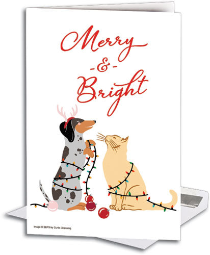 Bright Light Pets Deluxe Folding Card