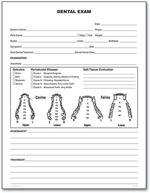 Pet Dental Exam Form