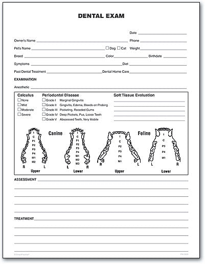 Pet Dental Exam Form