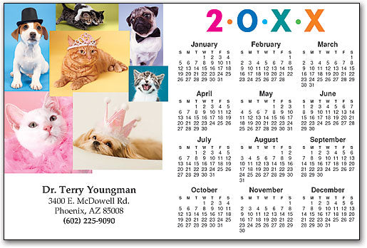 Pets Formal Accessories Postcard Calendar