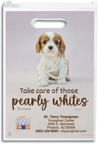 Pretty In Pearls Paper Supply Bag