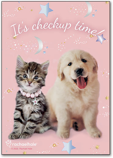 Pet Stars Rachael Hale Postcard