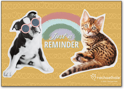 Cool Pets Rachael Hale Postcard