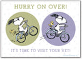 Bike Fun Peanuts Veterinary Reminder Postcard