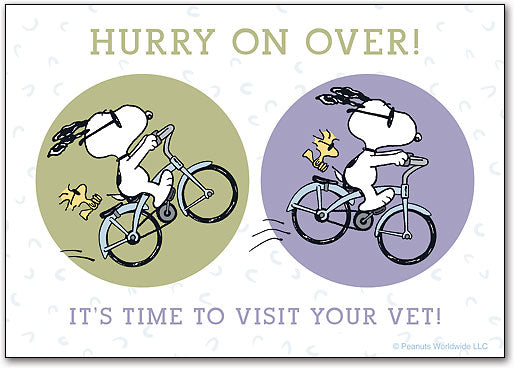 Bike Fun Peanuts Veterinary Reminder Postcard