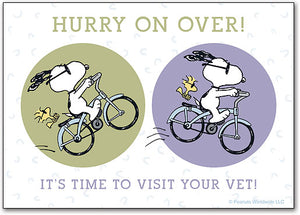 Bike Fun Peanuts Veterinary Reminder Postcard