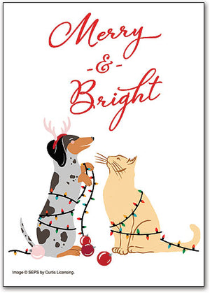 Bright Light Pets Deluxe Postcard