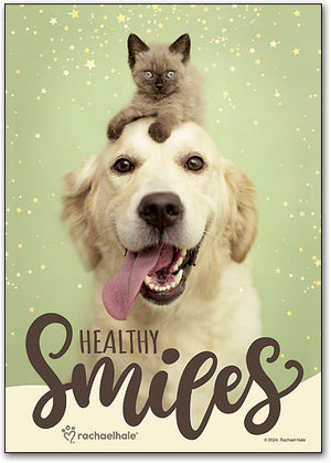 Smiles Among Friends Postcard