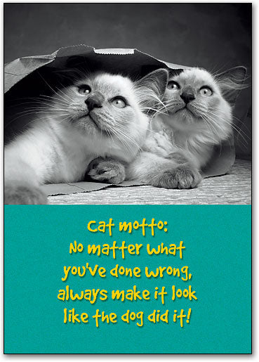 Cat Motto Wall Art Poster