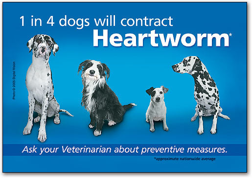 Prevent Heartworm Wall Art Poster