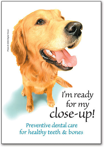 Ready for My Closeup Wall Art Poster