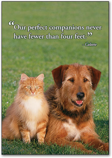 Our Perfect Companion Wall Art Poster