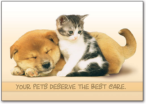 Pets Deserve the Best Wall Art Poster