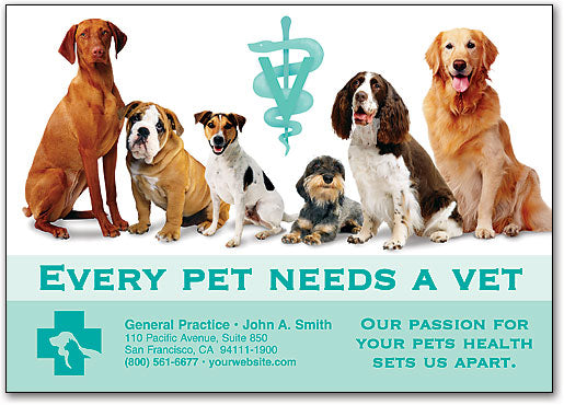 Every Pet Needs a Vet customisable Card