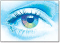 Rainbow Eye Postcard