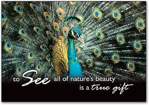 All of Nature's Beauty Postcard