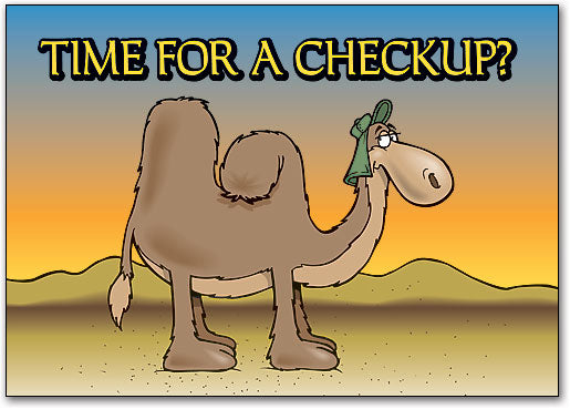 Camel Postcard