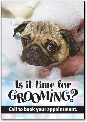 Time for Grooming Postcard
