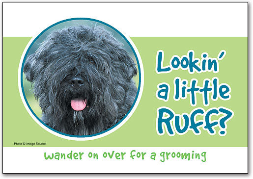 Lookin' a Little Ruff? Grooming Postcard