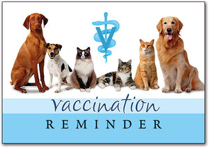 Vaccination Reminder Postcard