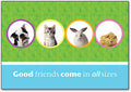 All Sizes Postcard