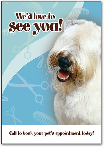 Love to See You Grooming Postcard
