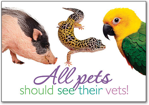 All Pets Postcard