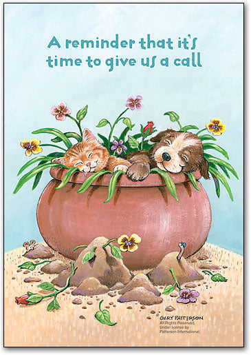 Playful Pets Postcard