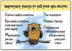 Owl/Important Things Postcard