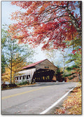 Peaceful Autumn Postcard