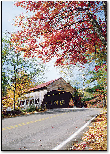 Peaceful Autumn Postcard