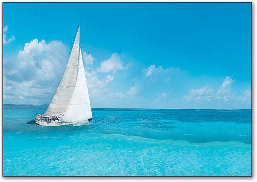 Series 7 Summer Postcard